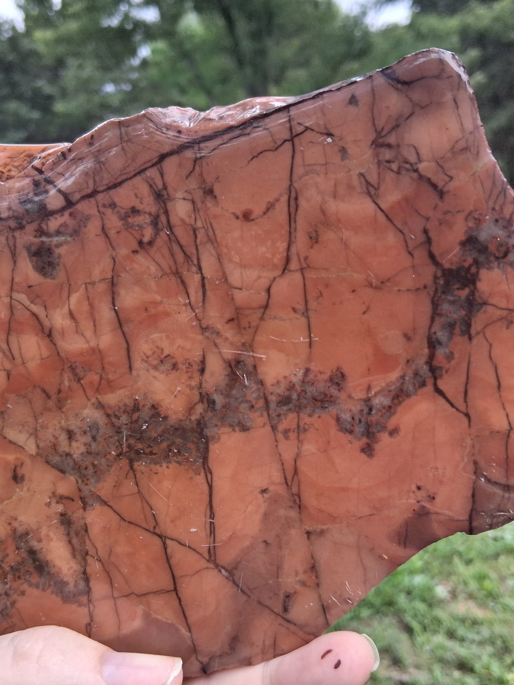 Kona Dolomite Polished Slab Display 8.5" Stone Rock Specimen Michigan - Picture 2 of 10
